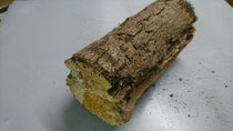 Weissfaules Holz mittelhart