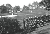 Die Tennisanlage am Kaisergehölz 1959