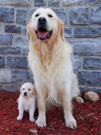 Wrigley & Max