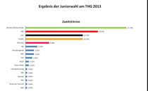Ergebnisse 2013 am THG