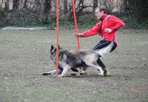 Vierkampf am 13.03.2010