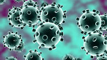 Imagen del coronavirus 