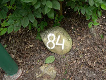Bungalow 84