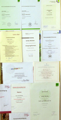 Abb.: Expertise