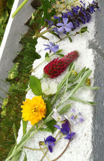 春夏の手作り酵素 5月下旬 花だけで20種類