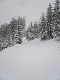 Gantrisch 8.1.2012