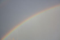 1 Regenbogen/Rainbow
