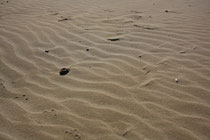 42 Der Sand/The sand