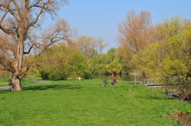 Rodaumündung