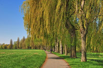 Mainradweg
