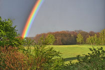 Regenbogen