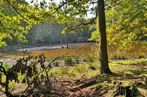 Nachtweide zu Patershausen