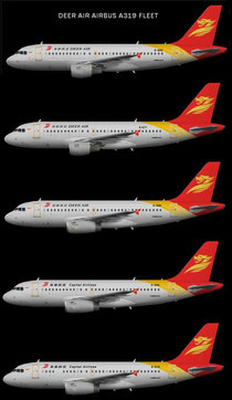 HNA Group Airbus A319