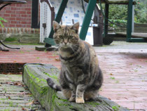 Uschi