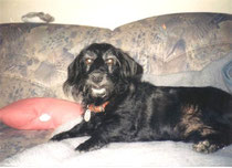 Mein Benny 1982 - 1995