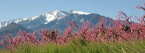 Montagne du Canigou