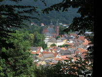 Wanderung bei Amorbach