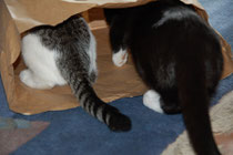 Gibt`s da was?