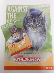 猫エイズワクチンの必要性 大樹アニマルクリニック