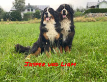 Jasper und Liam