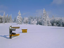 Schneeschuhwandern