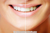 ©nobeastsofierce-fotolia.com