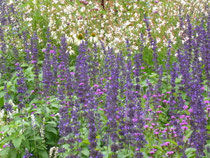 Impressum Heilpraktikerin Mittenwald, Krün, Wallgau