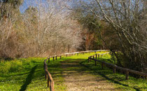 El río Guadiamar en el Parque de Doñana.