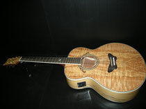 Daisy Rock Butterfly Jumbo Acoustic Electric Spolted Maple カレッジギターズ