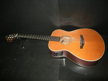 YAMAHA FPX-300N&ヤマハ新品ソフトケース