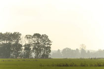 Een dwaling door het landschap Mijn gedachten zijn geconcentreerd en ik voel me onbelemmerd en vrij van elk obstakel. Ik kan kijken tot aan de horizon waar alles veel grijzer is. Alle dingen, de wind, de regen hebben een onrustig effect. Ik maak contact met de grond en verderop zie ik allemaal sporen. Mijn contemplatievermogen neemt toe. De wind gaat langs andere voorbijgangers en blaast mij vooruit. Deze plek, die ik vaak passeer zonder goed op te letten, verrast mij nu door dingen die ik nooit eerder had waargenomen. Ik wil het terugvinden, iets vinden van de animistische dimensie van de waarneming. Hier voel ik geen schaamte voor de diepe stemmingen die mij te beurt vallen zoals exaltatie waarin ik de grens van mijn ik vergeet om mij deel te voelen van een omvattender geheel. Het landschap neemt een verheven karakter aan en laat aardse gevoelens achter. Het heeft iets bovennatuurlijks dat de geest verrukt. Ik vergeet alles en mijzelf  en weet niet meer waar ik ben: ik ben in de ban van de betovering van het landschap. Het landschap wordt verheven of subliem door de overweldigende aanwezigheid en iets dreigends heeft waarbij ik mij als mens ook wel weer nietig voel.