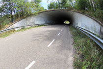 Ecoduct