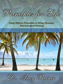 This book explains how to use biblical principles to build counseling plans.