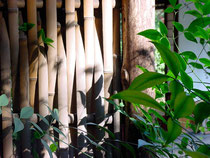天然の竹垣