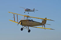 Bild der Tiger Moth