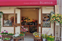 元住吉のお花屋さん Flowers and Plants Bianca（ビアンカ）