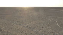 Nazca Linien