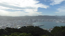 Wellington 