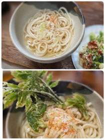 コシアブラ天うどん