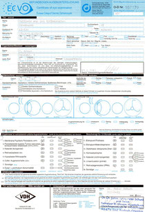 Befundbogen Augenuntersuchung vom 13.01.2013