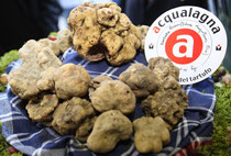 Visita ed assaggia le brelibatezze di Acqualagna. Niente di più comodo che farsi portare dal tuo autista di fiducia! Nccpesaro