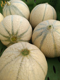 Melons de Cappy