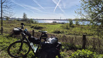 Sonne pur
