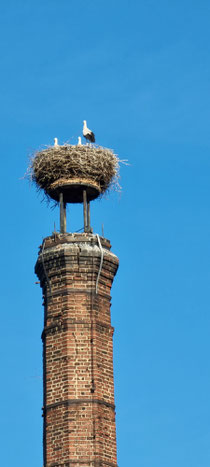 Ankunft am Dreiländereck