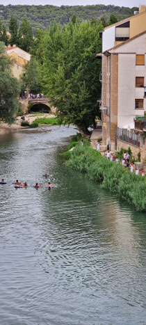 Estella Fiesta