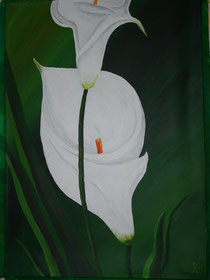 Calla 06/2011