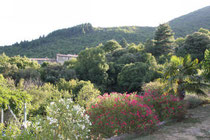 Vue de la façade Sud du Grand Mas