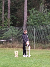 Gio vom Mooshof 