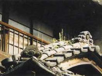 屋根の雑草