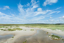 Salzwiesen St. Peter Ording (Bad)